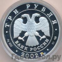 3 рубля 2002 года СПМД