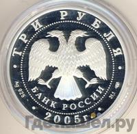 3 рубля 2005 года СПМД