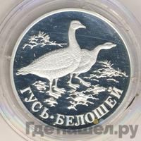 1 рубль 1998 года СПМД