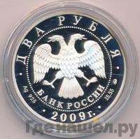 2 рубля 2009 года ММД