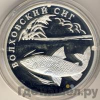 1 рубль 2005 года СПМД