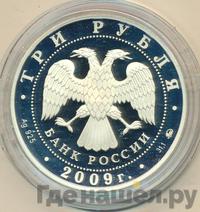 3 рубля 2009 года ММД