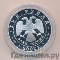 3 рубля 2002 года СПМД