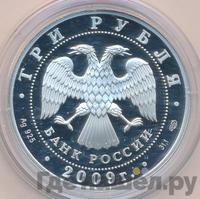 3 рубля 2009 года СПМД