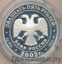 25 рублей 2002 года СПМД