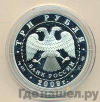 3 рубля 2009 года СПМД