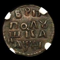 Полушка 1719 года