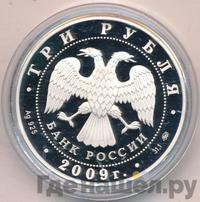 3 рубля 2009 года ММД