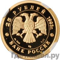 25 рублей 1993 года ММД