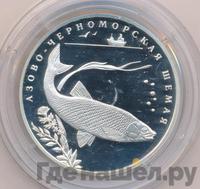 2 рубля 2008 года СПМД