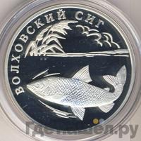 1 рубль 2005 года СПМД