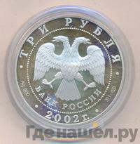 3 рубля 2002 года СПМД