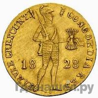 Дукат 1828 года  Нидерландская имитация