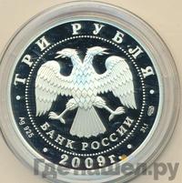 3 рубля 2009 года СПМД