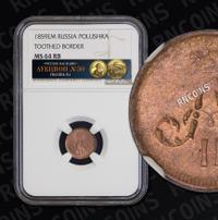 Полушка 1859 года