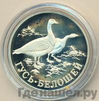 1 рубль 1998 года СПМД