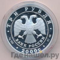 3 рубля 2000 года СПМД