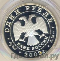 1 рубль 2002 года СПМД