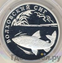 1 рубль 2005 года СПМД