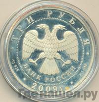 3 рубля 2009 года ММД