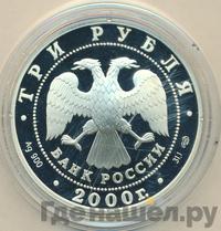 3 рубля 2000 года СПМД