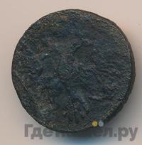 Полушка 1746 года