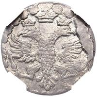 Алтынник 1704 года