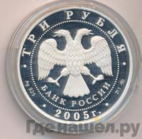 3 рубля 2005 года ММД
