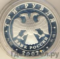 3 рубля 2002 года СПМД