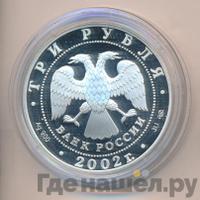3 рубля 2002 года СПМД