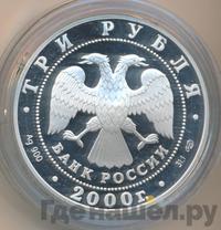 3 рубля 2000 года СПМД