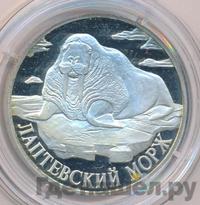 1 рубль 1998 года СПМД