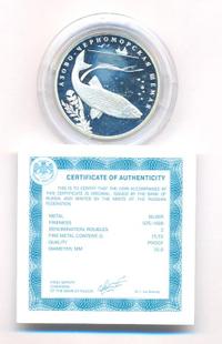 2 рубля 2008 года СПМД