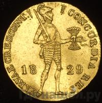 Дукат 1829 года  Нидерландская имитация
