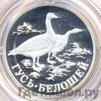 1 рубль 1998 года СПМД