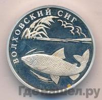 1 рубль 2005 года СПМД