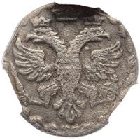 Алтынник 1704 года