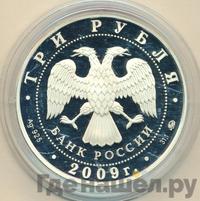 3 рубля 2009 года ММД