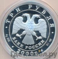 3 рубля 2000 года СПМД