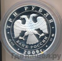 3 рубля 2009 года ММД