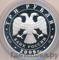 3 рубля 2009 года ММД