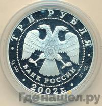 3 рубля 2002 года СПМД