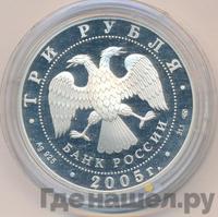 3 рубля 2005 года СПМД