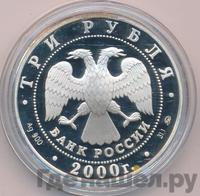 3 рубля 2000 года ММД