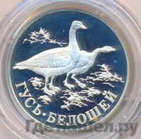 1 рубль 1998 года СПМД