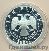 3 рубля 2000 года ММД