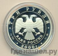 3 рубля 2000 года ММД
