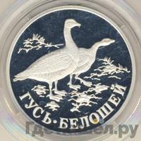 1 рубль 1998 года СПМД