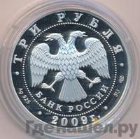 3 рубля 2009 года СПМД