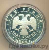 3 рубля 2002 года СПМД